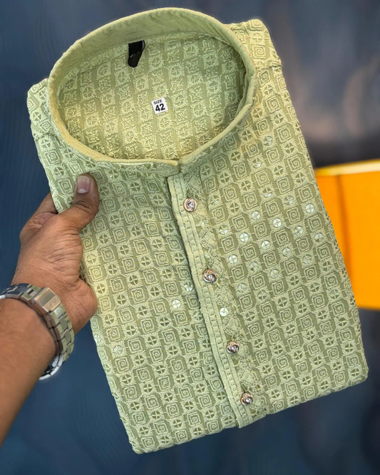 Light green Chikankari Sequinned Kurta